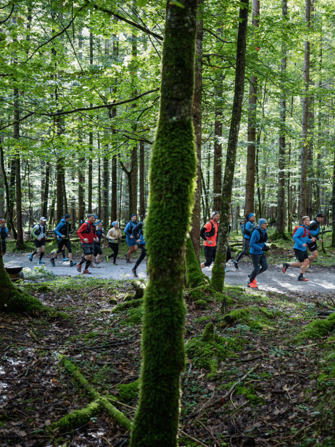 Trailrunning runventure, Trailrunner, Wald